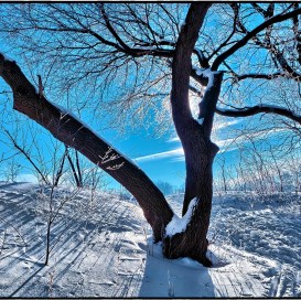 Credit River, Mississauga